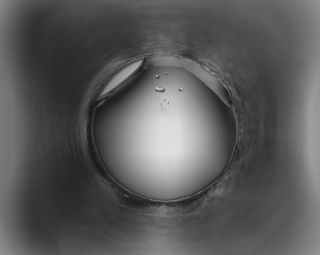 X0000089340197200707131518