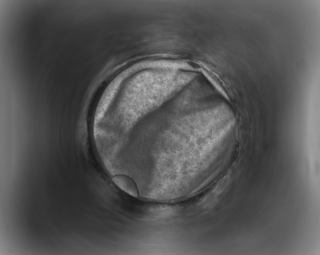 X0000089340198200707131518