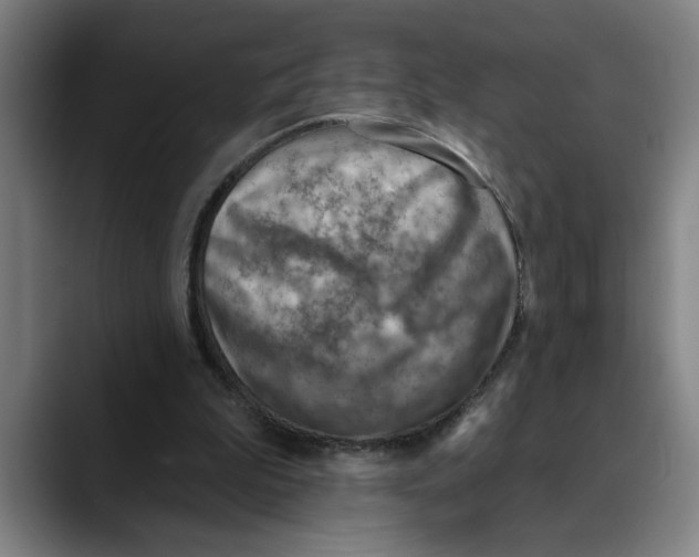 X0000089340199200707131518