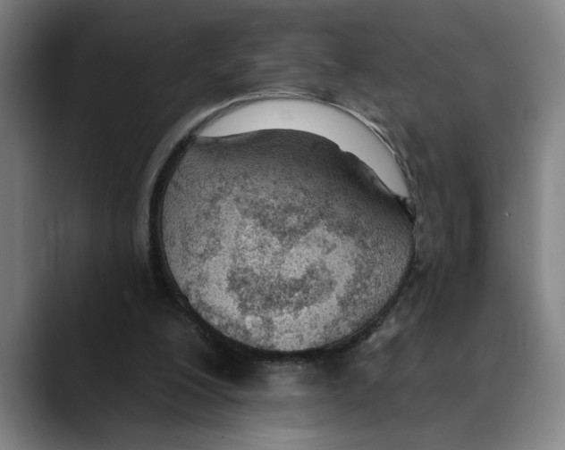 X0000089340200200707131518