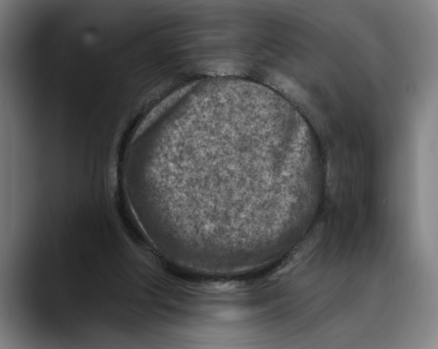 X0000089340202200707131518