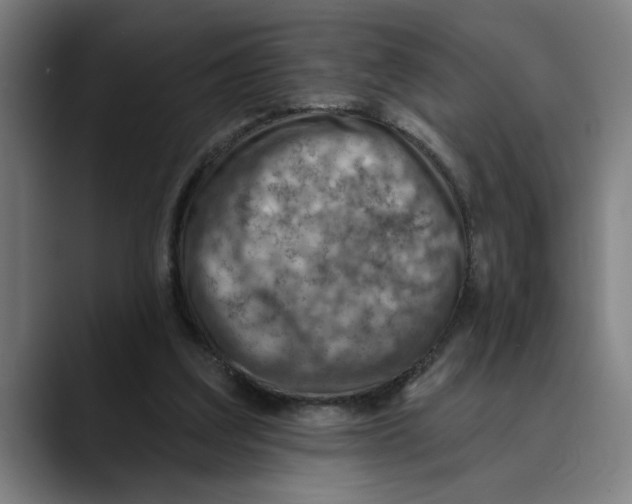 X0000089340203200707131518
