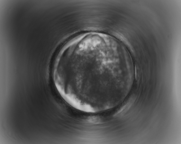 X0000089340204200707131518