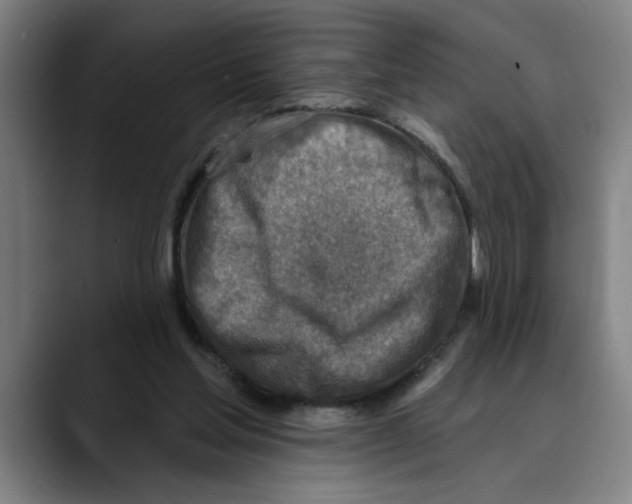 X0000089340205200707131518