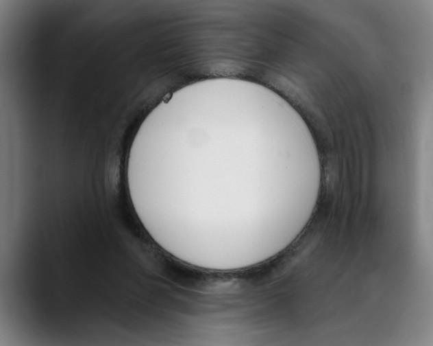 X0000089340206200707131518