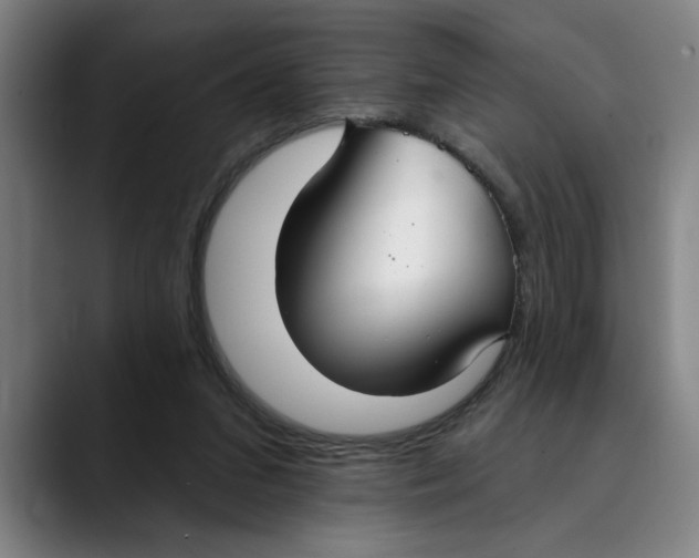 X0000089340207200707131518