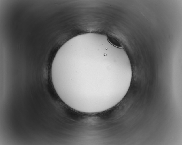 X0000089340210200707131518