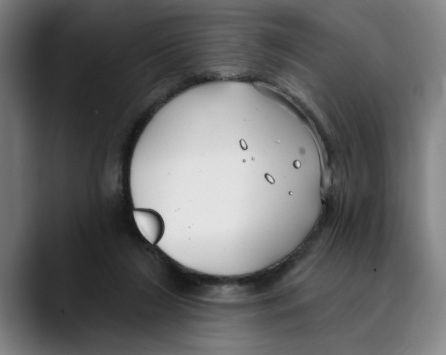 X0000089340212200707131518