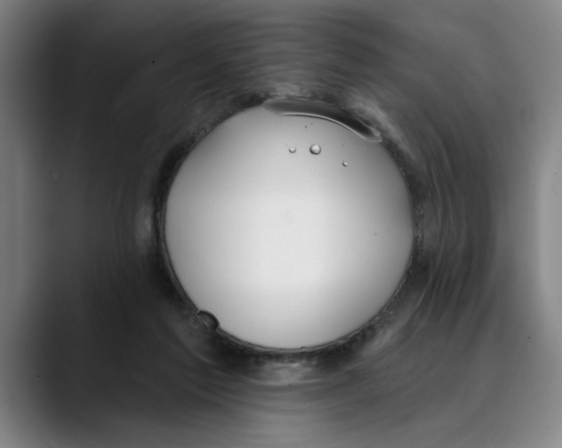 X0000089340213200707131518