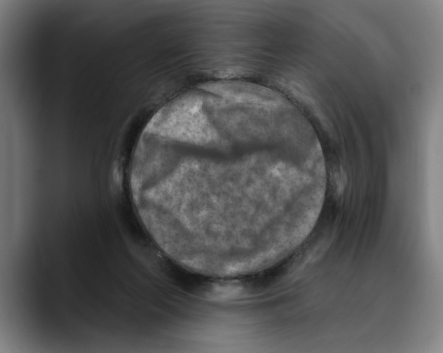 X0000089340214200707131518