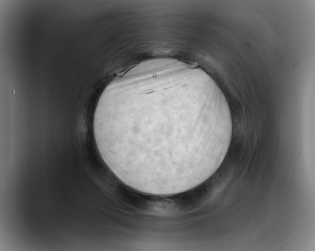 X0000089340215200707131518