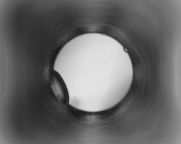 X0000089340216200707131518