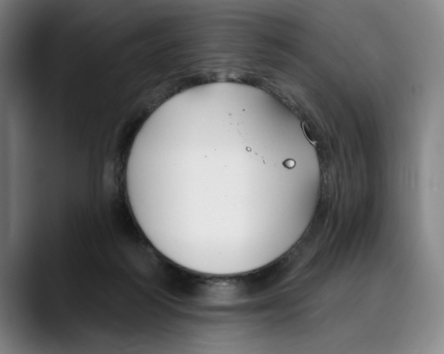 X0000089340218200707131518