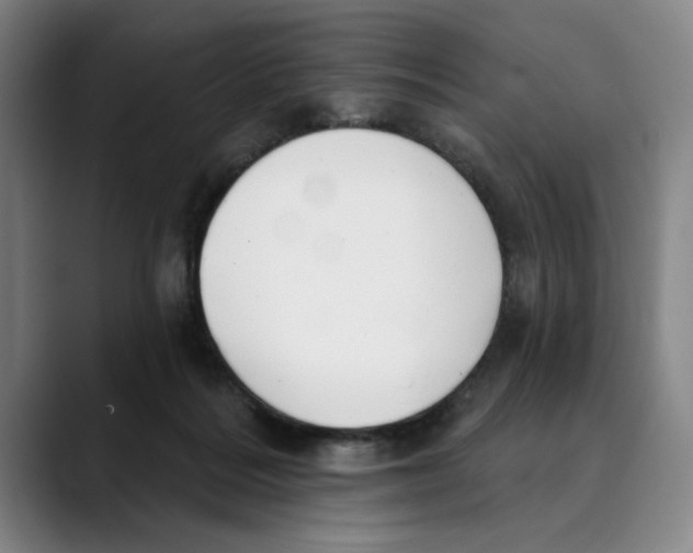 X0000089340220200707131518