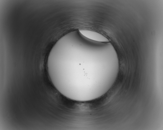 X0000089340221200707131518