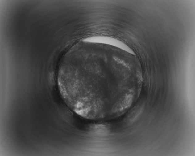 X0000089340224200707131518