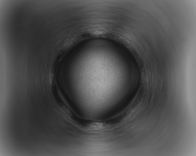 X0000089340227200707131518