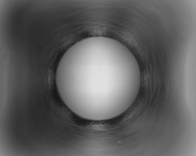 X0000089340228200707131518