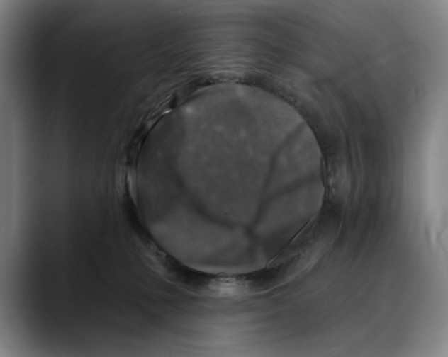 X0000089340231200707131518