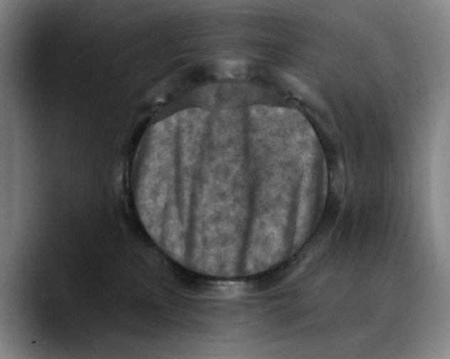 X0000089340233200707131518