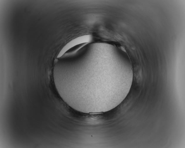 X0000089340235200707131518