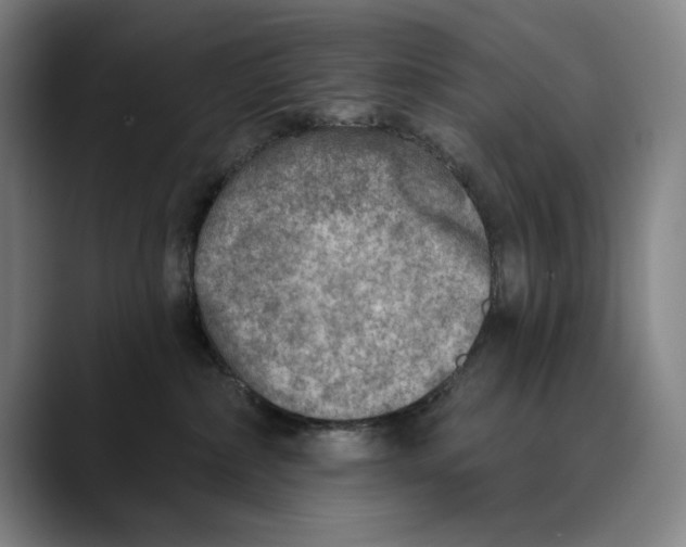 X0000089340236200707131518