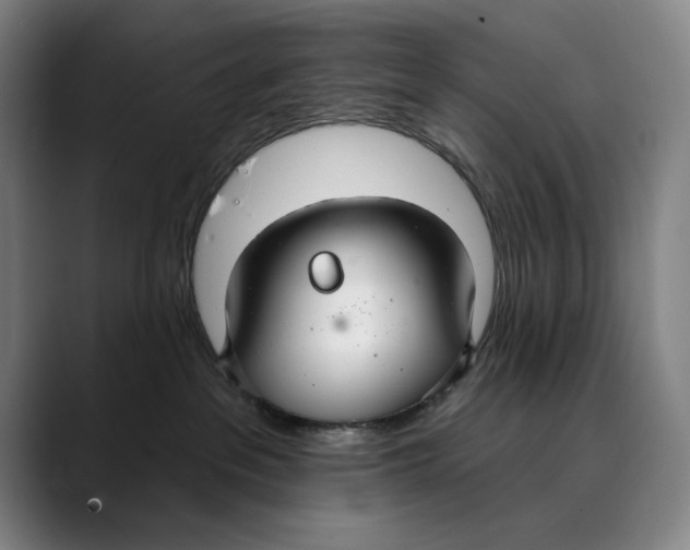 X0000089340237200707131518