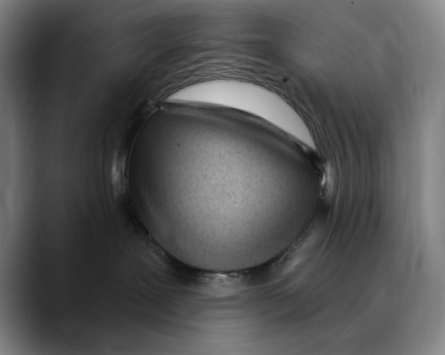 X0000089340239200707131518