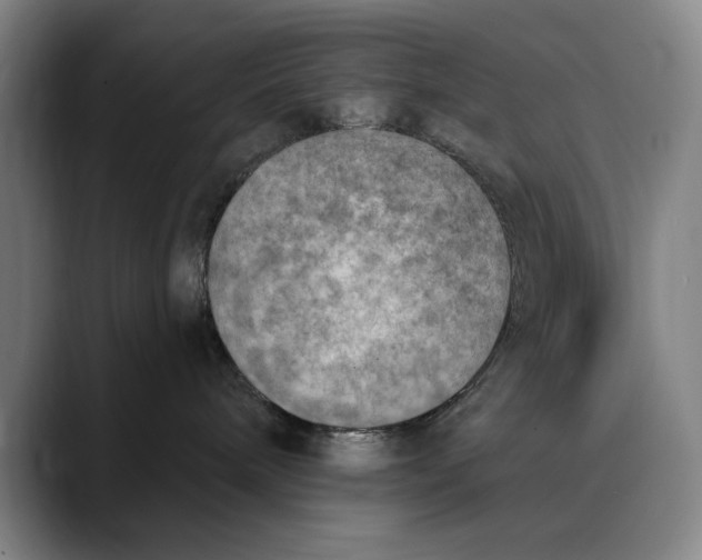 X0000089340240200707131518
