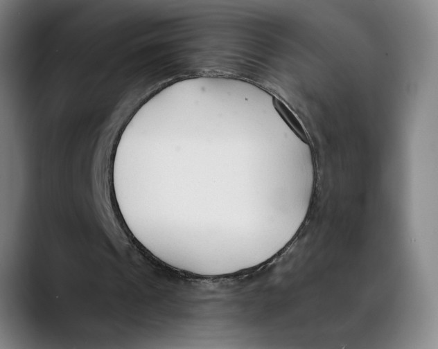 X0000089340241200707131517