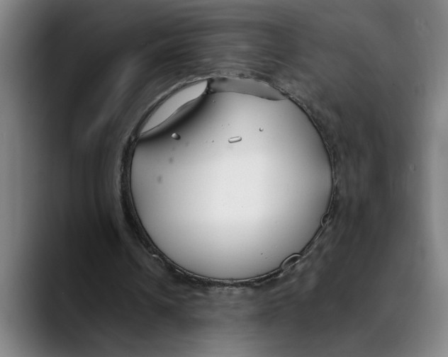 X0000089340242200707131517