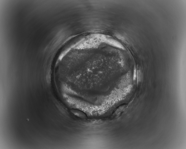 X0000089340243200707131517