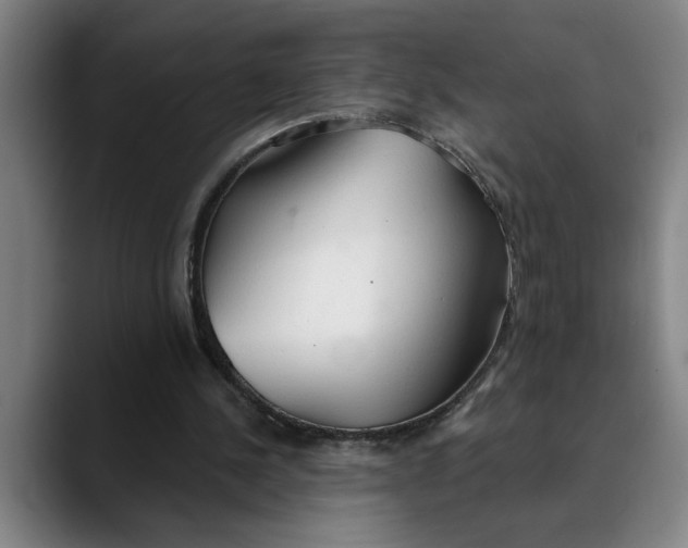 X0000089340244200707131517