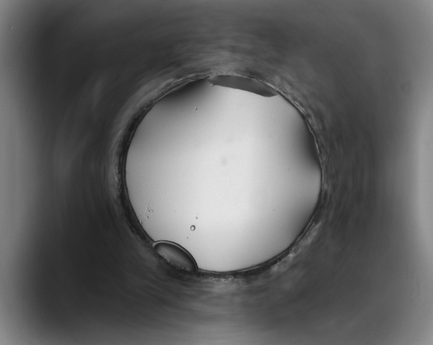 X0000089340245200707131517
