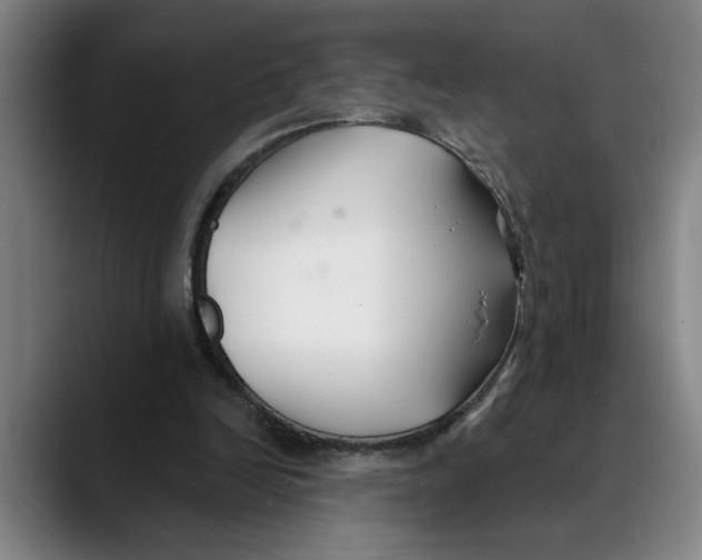 X0000089340246200707131517