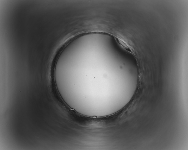 X0000089340248200707131517