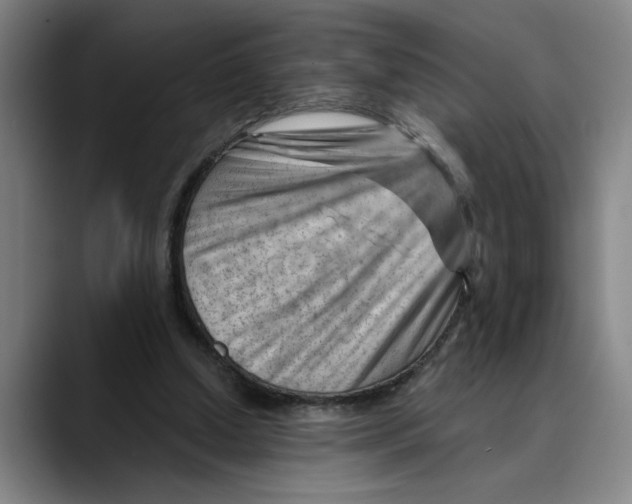 X0000089340250200707131517