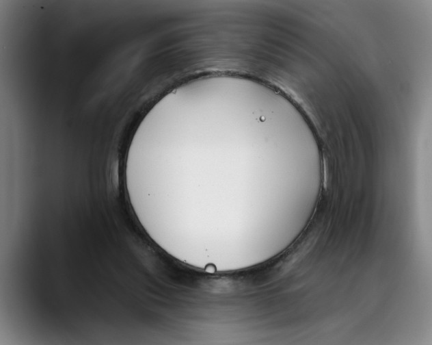 X0000089340253200707131517