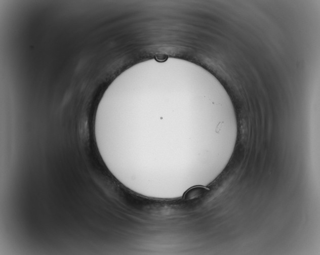 X0000089340254200707131517