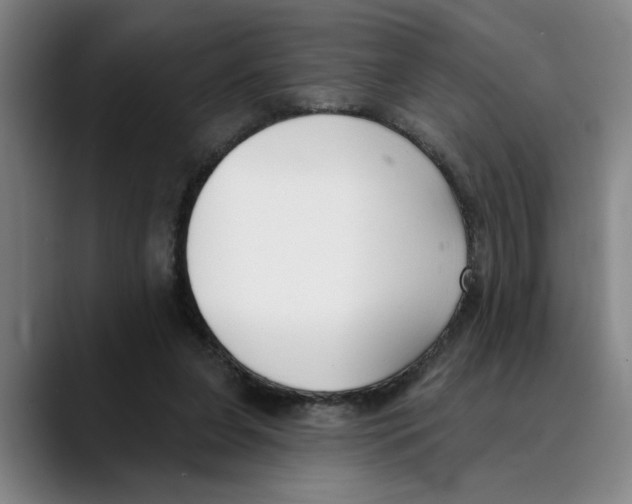 X0000089340255200707131517