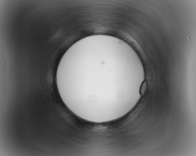 X0000089340257200707131517