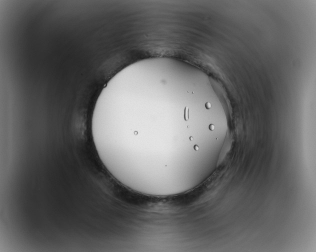 X0000089340259200707131517