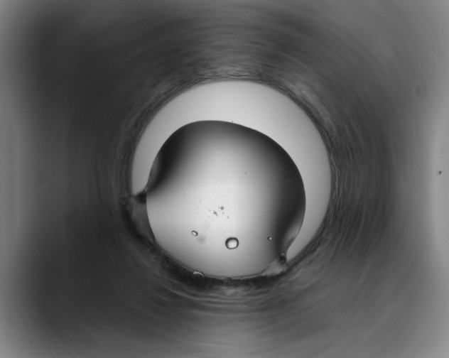 X0000089340260200707131517