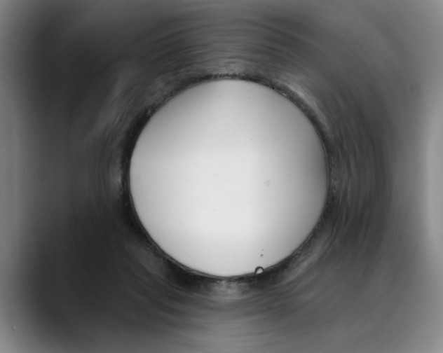 X0000089340261200707131517