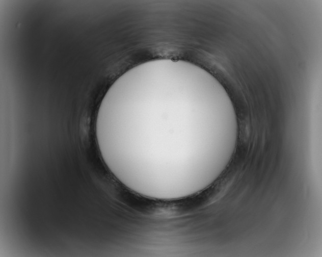 X0000089340263200707131517