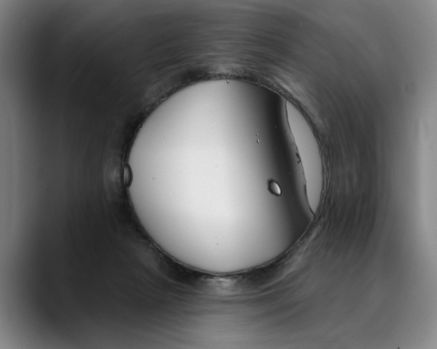 X0000089340265200707131517