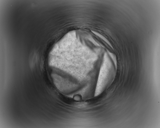 X0000089340266200707131517