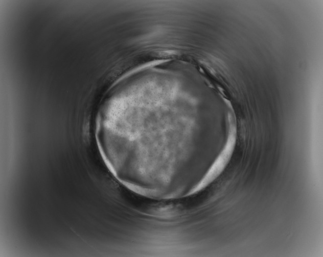 X0000089340267200707131517