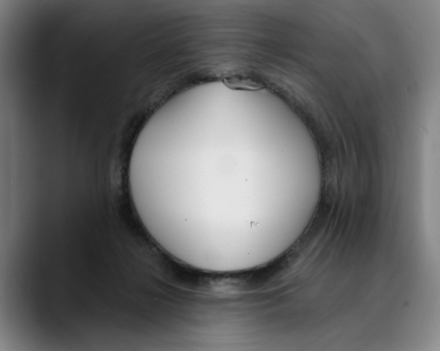 X0000089340268200707131517