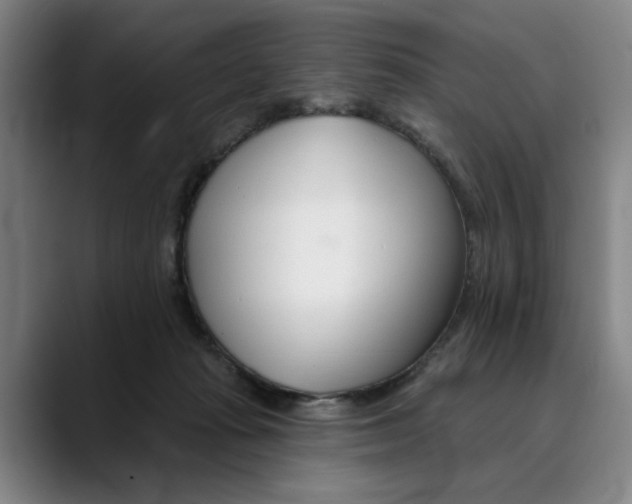 X0000089340269200707131517